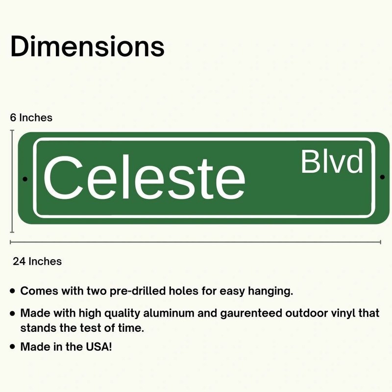 Custom Personalized Aluminum Street Sign Outdoor Indoor Great Gift for Everyone gallery