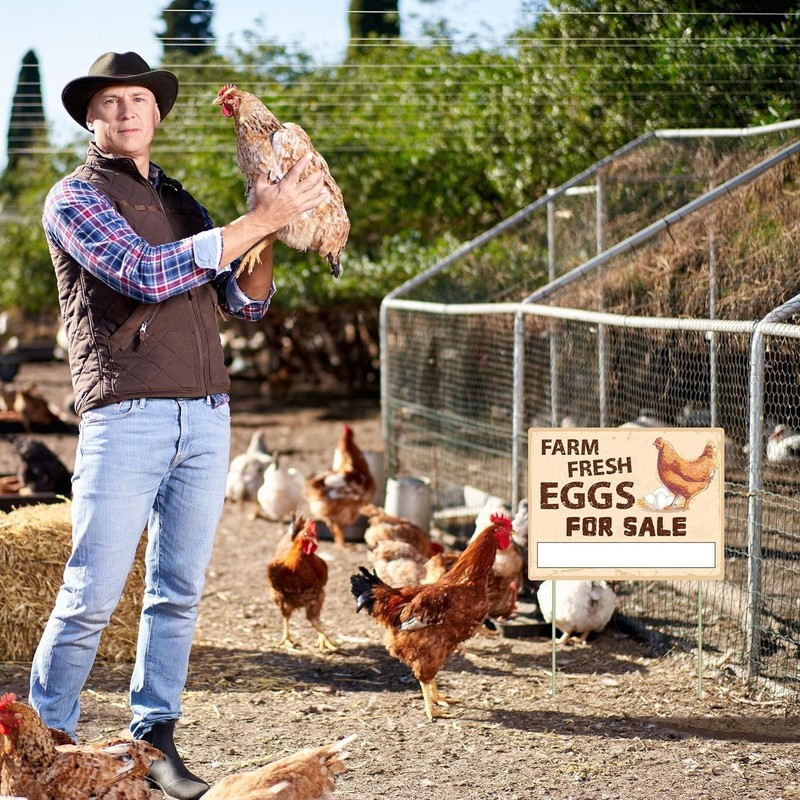 3Pcs Double Sided Farm Fresh Eggs Sign Eggs for Sale Sign Corrugated Plastic Fre gallery