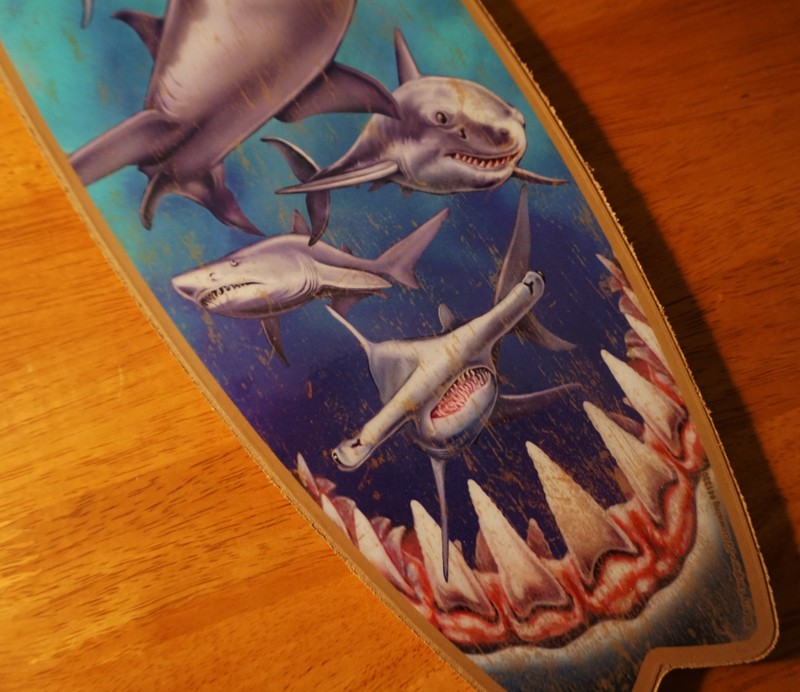 GREAT WHITE SHARK TEETH BITE SURFBOARD SIGN Beach Surfing Surfer Home Decor NEW gallery