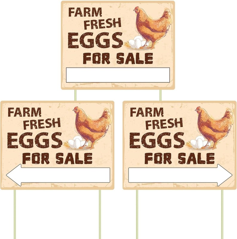 3Pcs Double Sided Farm Fresh Eggs Sign Eggs for Sale Sign Corrugated Plastic Fre gallery
